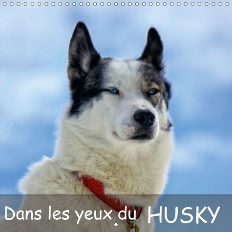 Emprunter LE CHIEN HUSKY AIME COURIR LE livre