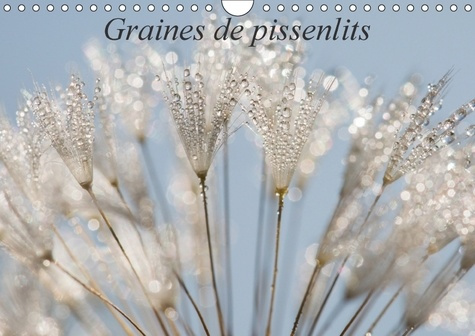 Emprunter GRAINES DE PISSENLITS CALENDRIER MURAL 2017 DIN A4 HORIZONTAL - PHOTOS MACRO DE GRAINES DE PIS livre
