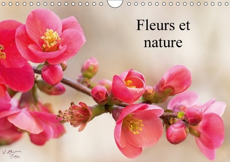 Emprunter FLEURS ET NATURE CALENDRIER MURAL 2017 DIN A4 HORIZONTAL - POESIE DES FLEURS AU COURS DES livre