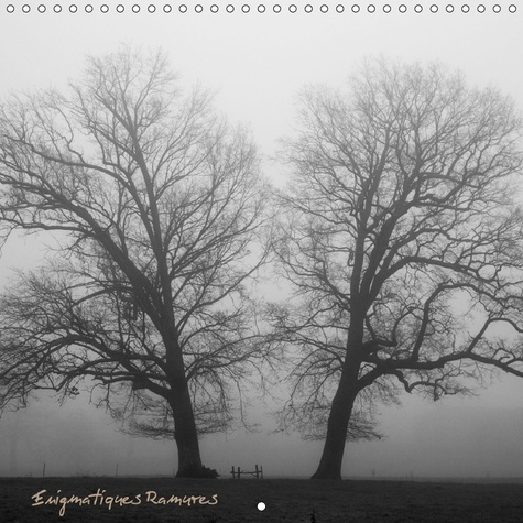 Emprunter A LA RENCONTRE DES ARBRES AUX livre