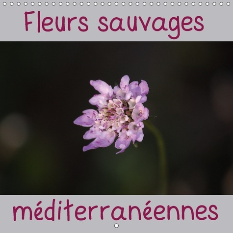 Emprunter UN CALENDRIER AVEC UNE FLEUR S livre