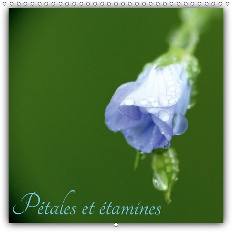 Emprunter PORTRAITS DE FLEURS CALENDRIER livre