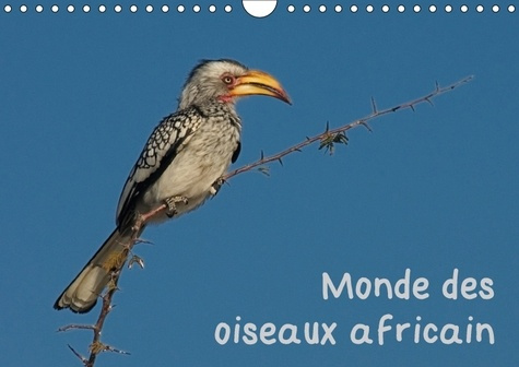 Emprunter MONDE DES OISEAUX AFRICAIN CALENDRIER MURAL 2018 DIN A4 HORI - DES PORTRAITS D OISEAU FASCINA livre