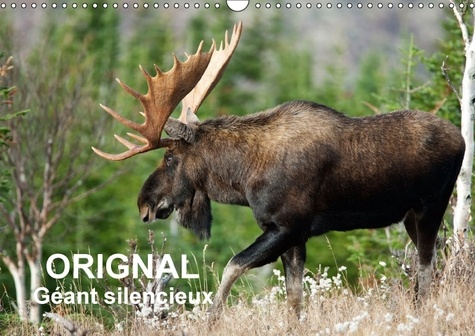 Emprunter ORIGNAL GEANT SILENCIEUX CALENDRIER MURAL 2018 DIN A3 HORIZO - L ORIGNAL DU CANADA AU FIL DES livre