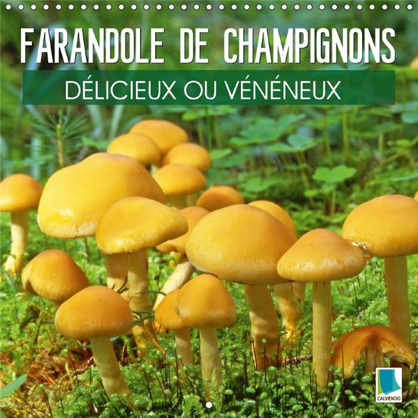 Emprunter FARANDOLE DE CHAMPIGNONS DELICIEUX OU VENENEUX CALENDRIER MU - CHAMPIGNONS AUX COULEURS ET AU livre