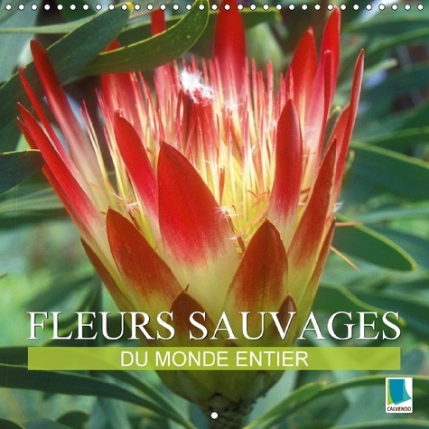 Emprunter FLEURS SAUVAGES DU MONDE ENTIER CALENDRIER MURAL 2018 300 30 - LES PARENTES SAUVAGES DE NOS F livre