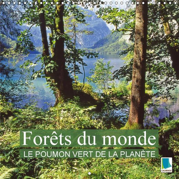 Emprunter FORETS DU MONDE LE POUMON VERT DE LA PLANETE CALENDRIER MURA - LA FORET DES OASIS DE PAIX ET livre