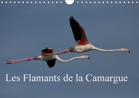 Emprunter LES FLAMANTS DE LA CAMARGUE CALENDRIER MURAL 2018 DIN A4 HOR - SCENES DE LA VIE D UNE ESPECE livre