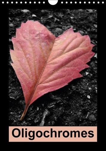 Emprunter OLIGOCHROMES CALENDRIER MURAL 2018 DIN A4 VERTICAL - QUAND LE NOIR ET BLANC RENCONT livre