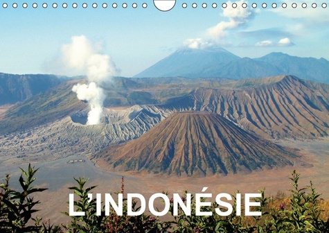 Emprunter L INDONESIE CALENDRIER MURAL 2018 DIN A4 HORIZONTAL - IMAGES FORTES DE BALI DE JAVA livre