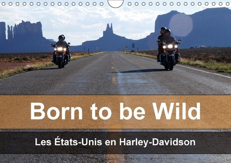 Emprunter BORN TO BE WILD LES ETATS UNIS EN HARLEY DAVIDSON CALENDRIER - LES MAGNIFIQUES PAYSAGES DU SU livre