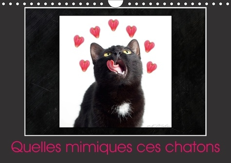 Emprunter QUELLES MIMIQUES CES CHATONS CALENDRIER MURAL 2018 DIN A4 HO - UN CALENDRIER PLEIN D HUMOUR C livre