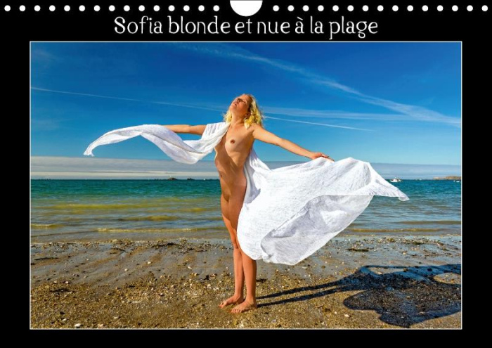 Emprunter SOFIA BLONDE ET NUE A LA PLAGE CALENDRIER MURAL 2018 DIN A4 - PHOTOS EROTIQUES D UNE JEUNE F livre