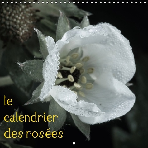 Emprunter LE CALENDRIER DES ROSEES CALENDRIER MURAL 2018 300 300 MM SQ - PHOTOS D UNE ANNEE DE GOUTTES livre