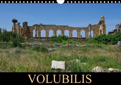 Emprunter VOLUBILIS CALENDRIER MURAL 2018 DIN A4 HORIZONTAL - LA CITE ANTIQUE ECLOT A PARTIR livre