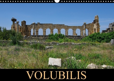Emprunter VOLUBILIS CALENDRIER MURAL 2018 DIN A3 HORIZONTAL - LA CITE ANTIQUE ECLOT A PARTIR livre