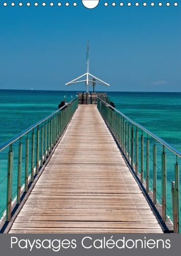 Emprunter PAYSAGES CALEDONIENS CALENDRIER MURAL 2018 DIN A4 VERTICAL - UN PETIT TOUR SUR CETTE MERVEI livre