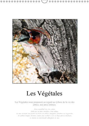 Emprunter LES VEGETALES CALENDRIER MURAL 2018 DIN A3 VERTICAL - AU C UR DE LA FORET DE BONNEVA livre
