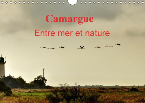 Emprunter CAMARGUE ENTRE MER ET NATURE CALENDRIER MURAL 2018 DIN A4 HO - AU C UR DE LA CAMARGUE ENTRE M livre