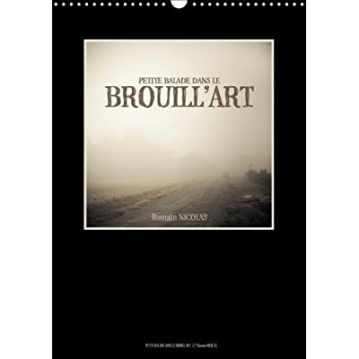Emprunter PETITE BALADE DANS LE BROUILL ART CALENDRIER MURAL 2018 DIN - LE BROUILLARD DANS LES MARAIS livre
