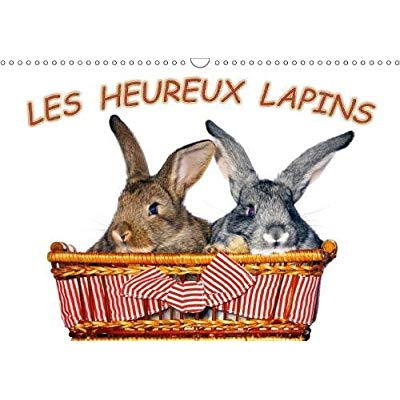 Emprunter LES HEUREUX LAPINS CALENDRIER MURAL 2018 DIN A3 HORIZONTAL - DES LAPINS DEVANT L APPAREIL P livre