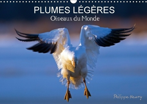 Emprunter PLUMES LEGERES OISEAUX DU MONDE CALENDRIER MURAL 2018 DIN A3 - TREIZE PHOTOS D OISEAUX EN ACT livre