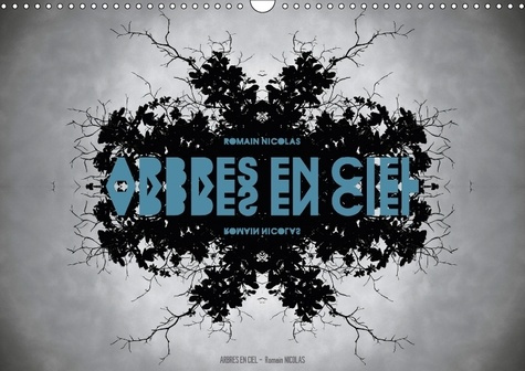 Emprunter ARBRES EN CIEL CALENDRIER MURAL 2018 DIN A3 HORIZONTAL - UNE SERIE QUI PERMET A CHACUN livre