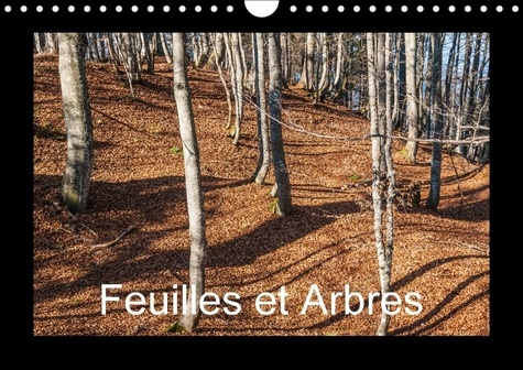 Emprunter FEUILLES ET ARBRES CALENDRIER MURAL 2018 DIN A4 HORIZONTAL - CAPTIVE PAR LES SAISONS CALEND livre