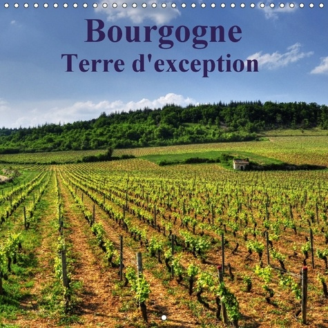 Emprunter BOURGOGNE TERRE D EXCEPTION CALENDRIER MURAL 2018 300 300 MM - LA BOURGOGNE MAGNIFIQUE REGION livre