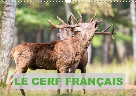 Emprunter LE CERF FRANCAIS CALENDRIER MURAL 2018 DIN A3 HORIZONTAL - PHOTOS DE CERFS EN FRANCE CALE livre