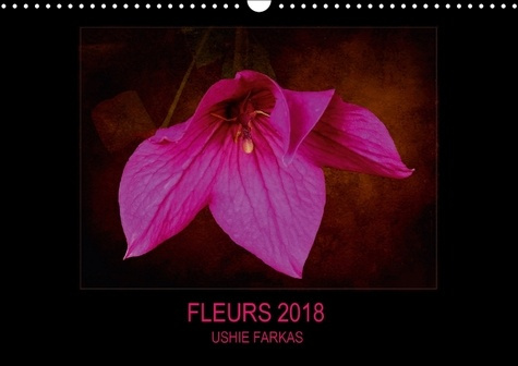 Emprunter FLEURS 2018 FR VERSION CALENDRIER MURAL 2018 DIN A3 HORIZONT - FLEURS AVEC TEXTURE CALENDRIER livre