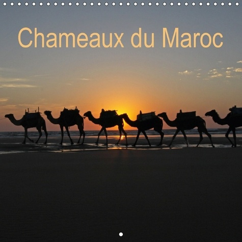 Emprunter CHAMEAUX DU MAROC CALENDRIER MURAL 2018 300 300 MM SQUARE - TREKKING AVEC DES CHAMEAUX AU livre
