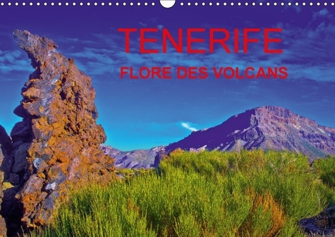 Emprunter TENERIFE FLORE DES VOLCANS CALENDRIER MURAL 2018 DIN A3 HORI - DES CHAMPS DE LAVE BARIOLES DE livre
