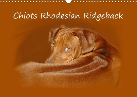 Emprunter CHIOTS RHODESIAN RIDGEBACK CALENDRIER MURAL 2018 DIN A3 HORI - PHOTOGRAPHIES DE CHIOTS DE RHO livre