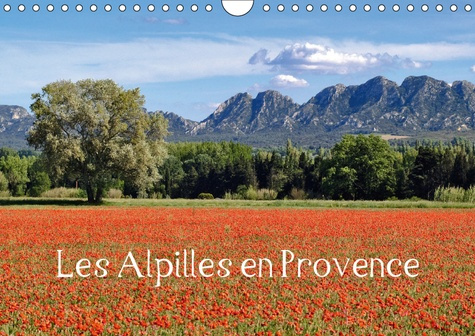 Emprunter LES ALPILLES EN PROVENCE CALENDRIER MURAL 2018 DIN A4 HORIZO - REGARD SUR LES PAYSAGES DU PAR livre