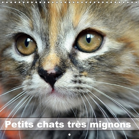 Emprunter PETITS CHATS TRES MIGNONS CALENDRIER MURAL 2018 300 300 MM S - PHOTOS FASCINANTES DES TIGRES livre
