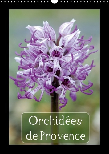 Emprunter ORCHIDEES DE PROVENCE CALENDRIER MURAL 2018 DIN A3 VERTICAL - ORCHIDEES RENCONTREES DANS LES livre