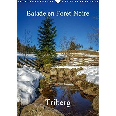 Emprunter BALADE EN FORET NOIRE TRIBERG CALENDRIER MURAL 2018 DIN A3 V - DECOUVERTE DE LA FORET NOIRE E livre