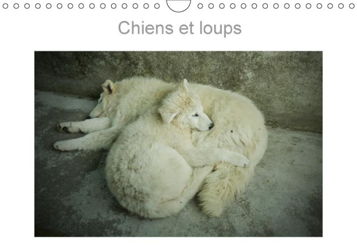 Emprunter CHIENS ET LOUPS CALENDRIER MURAL 2018 DIN A4 HORIZONTAL - PHOTOGRAPHIES DE CHIENS ET LOU livre