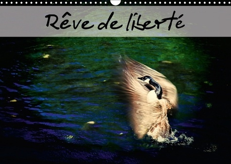 Emprunter REVE DE LIBERTE CALENDRIER MURAL 2018 DIN A3 HORIZONTAL - ENVOLONS NOUS VERS NOS REVES A livre
