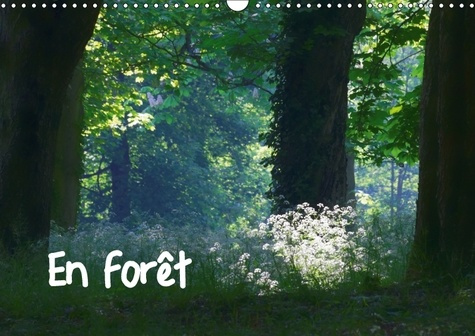 Emprunter EN FORET CALENDRIER MURAL 2018 DIN A3 HORIZONTAL - AMBIANCES FORESTIERES CALENDRI livre