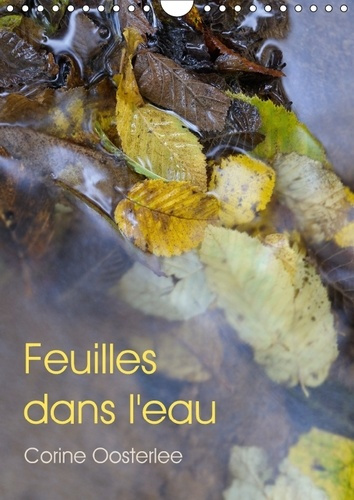 Emprunter FEUILLES DANS L EAU CALENDRIER MURAL 2018 DIN A4 VERTICAL - ECLATS DE LUMIERE SUR LES FEUI livre