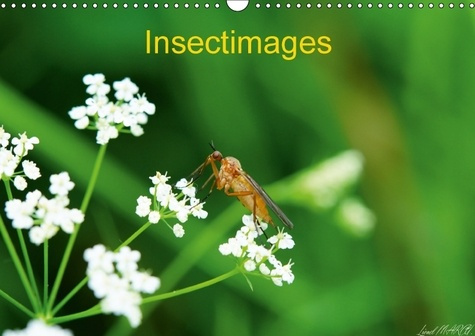 Emprunter INSECTIMAGES CALENDRIER MURAL 2018 DIN A3 HORIZONTAL - PHOTOGRAPHIES D INSECTES CALEN livre