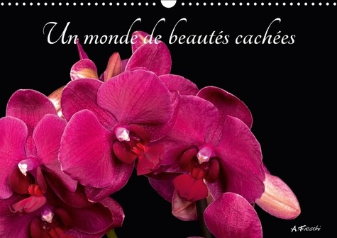Emprunter UN MONDE DE BEAUTES CACHEES CALENDRIER MURAL 2018 DIN A3 HOR - BELLES ET COLOREES CALENDRIER livre