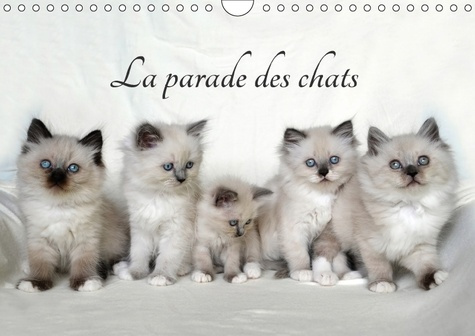 Emprunter LA PARADE DES CHATS CALENDRIER MURAL 2018 DIN A4 HORIZONTAL - MOIS APRES MOIS UN NOUVEAU CER livre