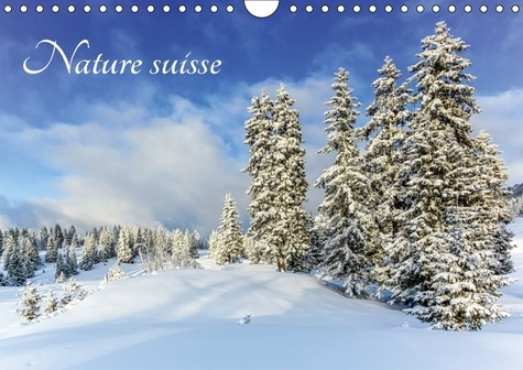 Emprunter NATURE SUISSE CALENDRIER MURAL 2018 DIN A4 HORIZONTAL - LES PAYSAGES DE SUISSE UN PLAI livre