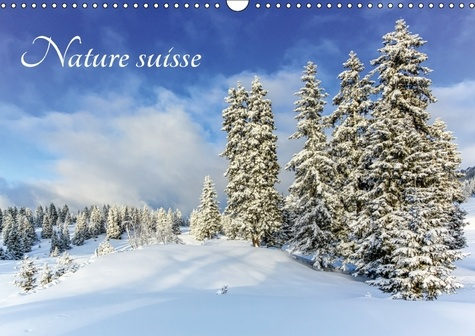 Emprunter NATURE SUISSE CALENDRIER MURAL 2018 DIN A3 HORIZONTAL - LES PAYSAGES DE SUISSE UN PLAI livre