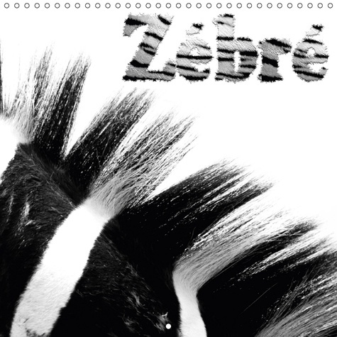 Emprunter ZEBRE CALENDRIER MURAL 2018 300 300 MM SQUARE - LES ZEBRES ET LEUR PELAGE CALE livre