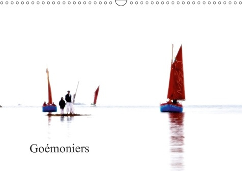Emprunter GOEMONIERS CALENDRIER MURAL 2018 DIN A3 HORIZONTAL - LES VIEUX GREEMENTS ONT A NOUV livre