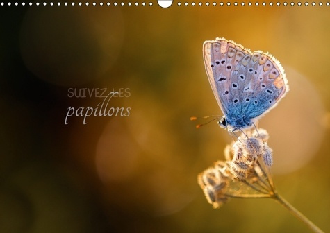Emprunter SUIVEZ LES PAPILLONS CALENDRIER MURAL 2018 DIN A3 HORIZONTAL - CALENDRIER PHOTO SUR LE THEME livre